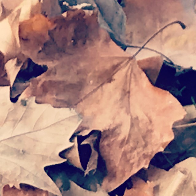 Art picture