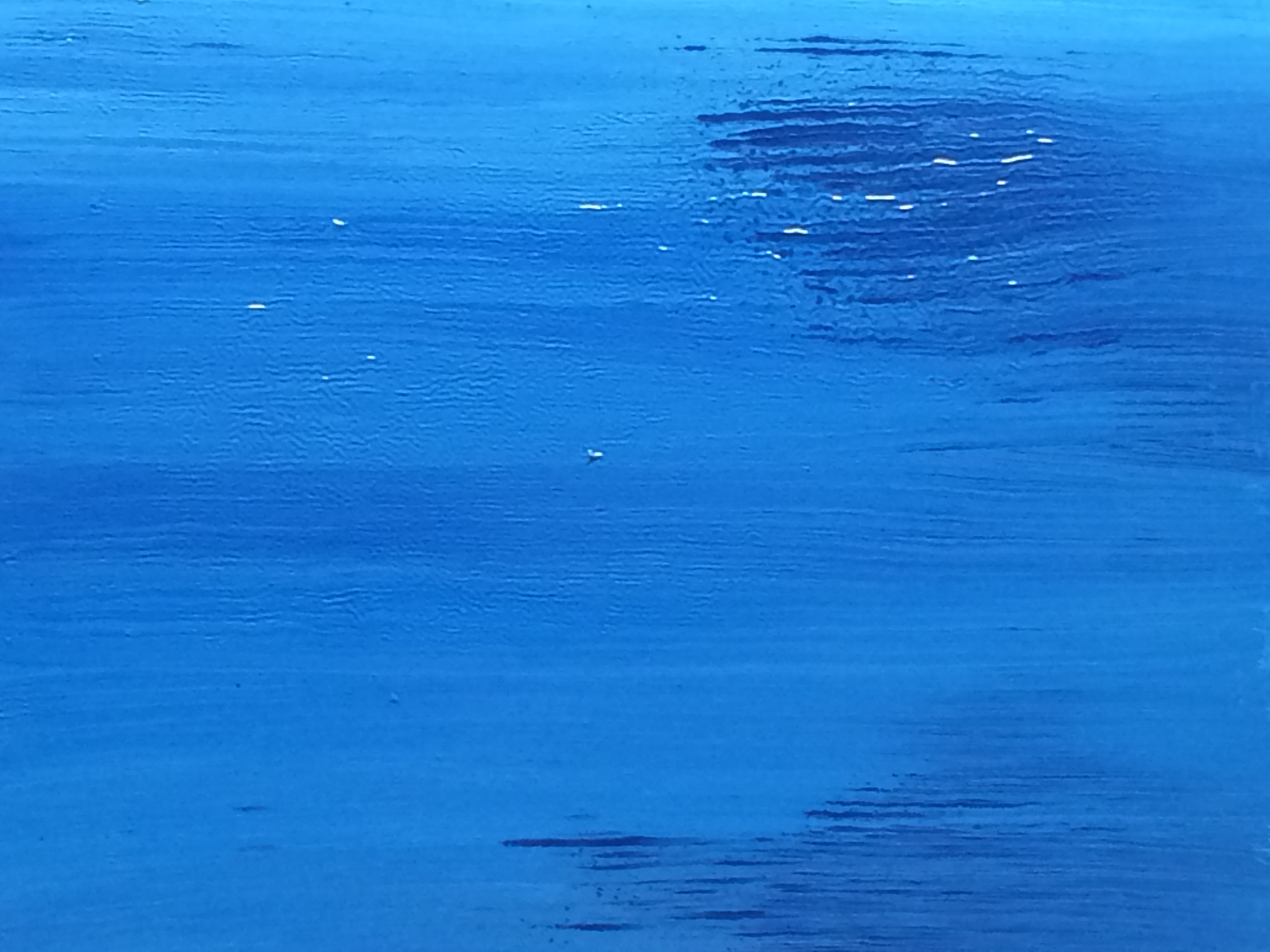 Art picture