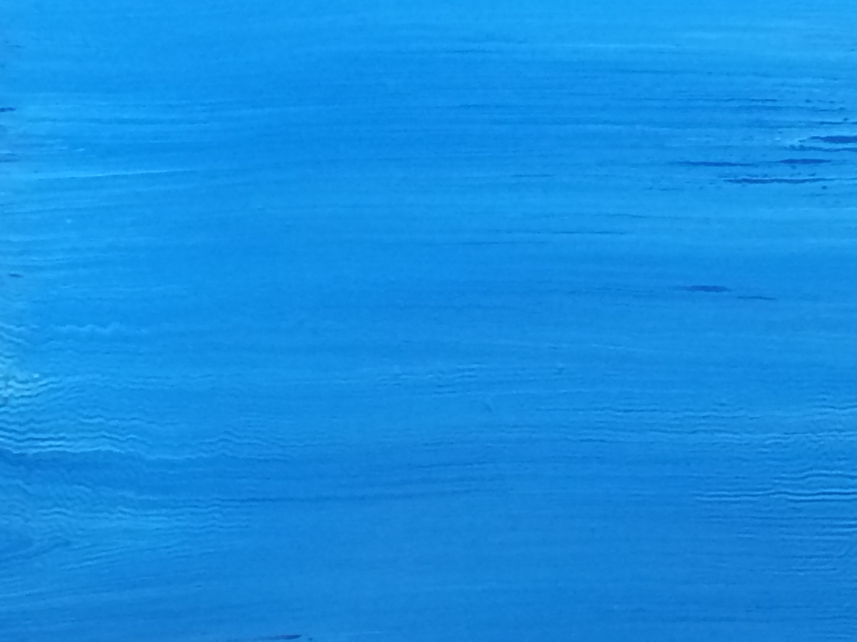 Art picture